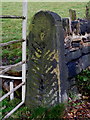 Hullen Edge Gatepost