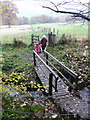 Footbridge on path to Black Spout