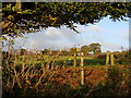 Field and autumn colours, near Itton