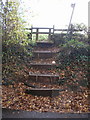 Wooden steps, Bettws Hill