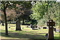 Wilnecote Old Cemetery  (10)