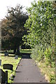 Wilnecote Old Cemetery  (11)