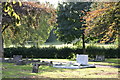 Wilnecote Old Cemetery  (13)