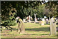 Wilnecote Old Cemetery  (15)