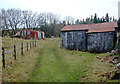 Study in rusty corrugated iron