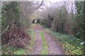 Footpath to Cadlocks Hill