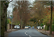 J3470 : Annadale Avenue, Belfast by Albert Bridge