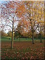 TQ2579 : Parkland Kensington Gardens by Paul Gillett
