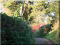 Churston Ferrers, private lane