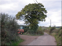 SX9382 : Minor road to Oxton by Roger Cornfoot