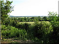 View SW from the churchyard, Brinkworth