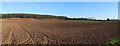 Ploughed field and woods near Oxton