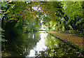 Staffordshire and Worcestershire Canal near Penkridge, Staffordshire