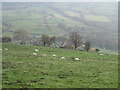 Farmland in the Afon Twymyn valley