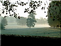 SP6949 : Misty view of Easton Neston Park by Oliver Hunter