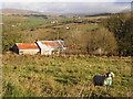 Aughnascribba Townland