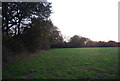 Hedgerow south of Horns Lodge Lane