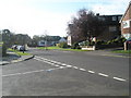 Looking south-westwards down Cherry Tree Avenue