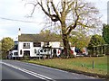 The Cricketers, Kingsley