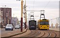 Trams at North Shore