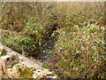 The downstream side of a bridge near Brimford cross approaching the river Torridge