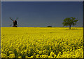 Stevington Windmill