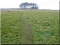 Footpath from Peak Dale towards Bibbington