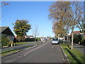 Autumn in Maple Tree Avenue