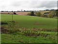 Field at Marshall Farm, looking west