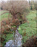 SP3364 : Stream below the Grand Union Canal near bridge 35 by Andy F