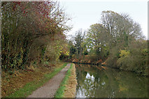 SP3364 : The Grand Union Canal between bridges 35 and 36 by Andy F