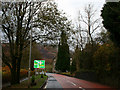 Road in Tarbet