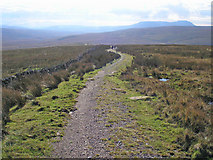 SD7984 : Reconstructed bridleway by John Illingworth