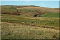 Farmland View