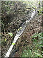 Gorge on Cluny Burn