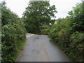 Lane to Woolston Farm