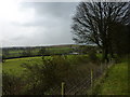 Along a fence to Ravensholme