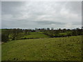 Fields south of Hill Foot Farm, Twiston