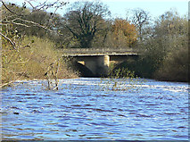 SE3967 : The Borough Bridge by Alan Murray-Rust