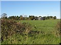 Ballyclaverty Townland