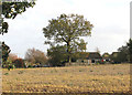 Bungalows west of Langley Road, Chedgrave