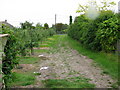 Farm track between footpath and Felderland Lane