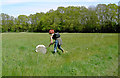 Little Haven Nature Reserve: sweep-netting