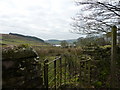 Gate and footpath sign