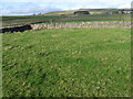 Footpath on Tideswell Moor towards Wheston House