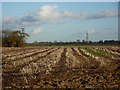 Field awaiting ploughing