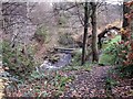 Kilsyth, bridge in the glen