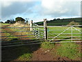 Double gates into fields