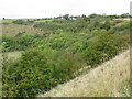 Wooded escarpment near Peene