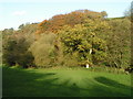 River valley near Butterleigh